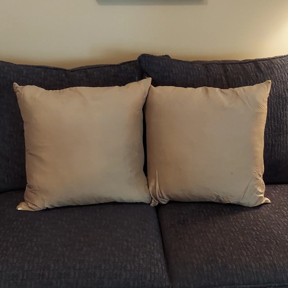RODEO HOME Vintage 18 x 18 Throw Pillow Set Beige Gold Satin- VINTAGE GORGEOUS!